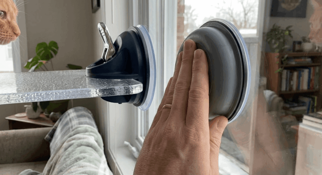 Cleaning window glass and installing a no-drill cat window perch apartment hammock securely