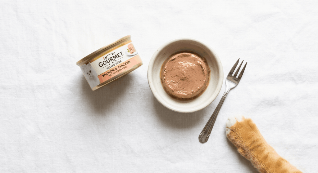 Serving high-moisture wet cat food to provide essential hydration for an indoor cat