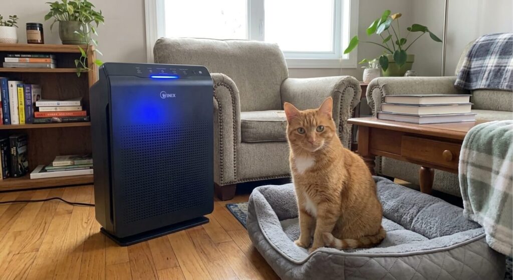 Detailed HEPA H13 filter showing trapped dander in the best air purifiers for cat hair and odor